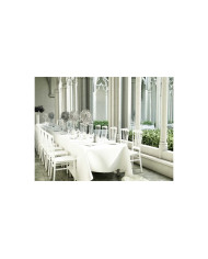 Chaise Napoléon blanche de qualité 1er prix